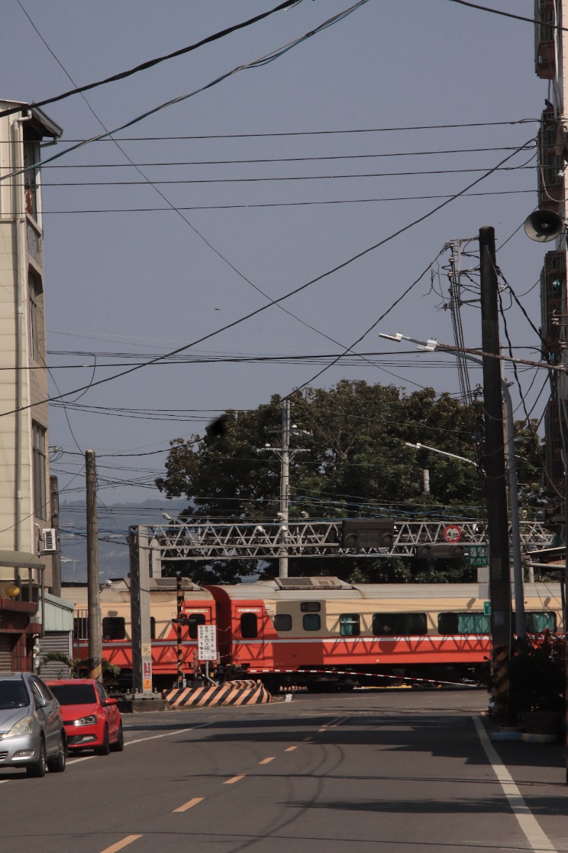 路竹